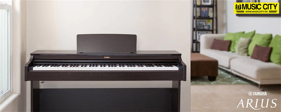 Music City – Tổng Kho Piano, Guitar, Organ | Dịch Vụ Giáo Dục Âm Nhạc