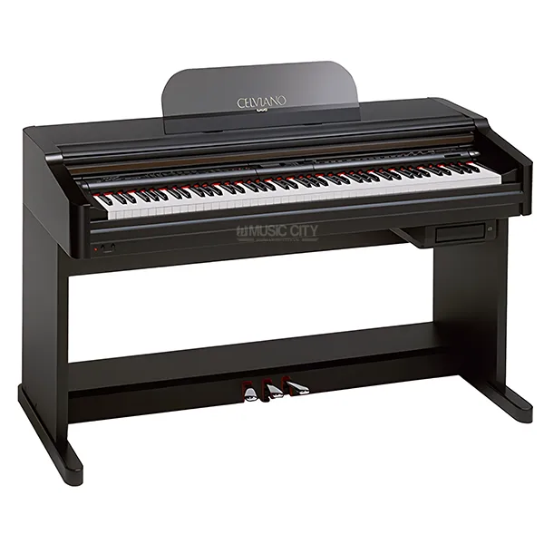 Music City – Tổng Kho Piano, Guitar, Organ | Dịch Vụ Giáo Dục Âm Nhạc
