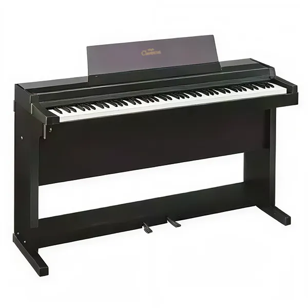 Music City – Tổng Kho Piano, Guitar, Organ | Dịch Vụ Giáo Dục Âm Nhạc