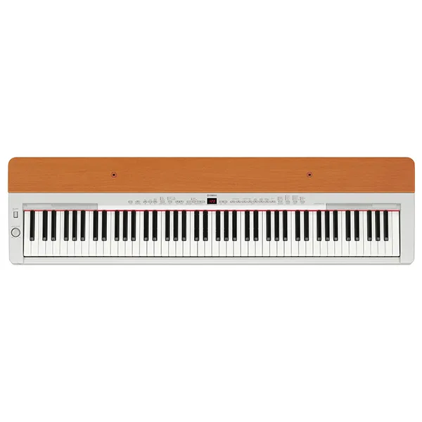 Music City – Tổng Kho Piano, Guitar, Organ | Dịch Vụ Giáo Dục Âm Nhạc