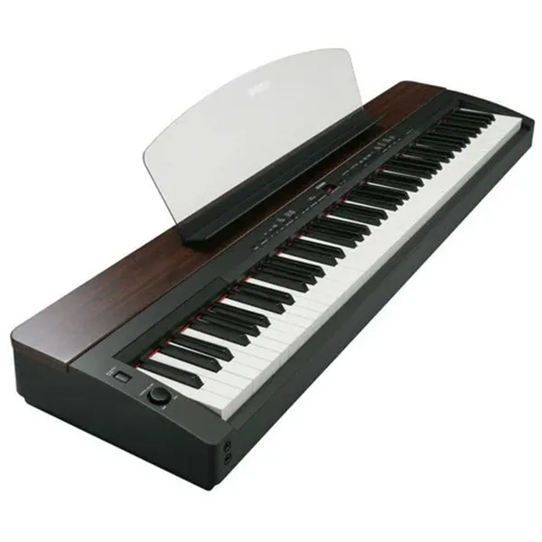 Music City – Tổng Kho Piano, Guitar, Organ | Dịch Vụ Giáo Dục Âm Nhạc