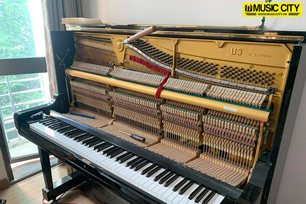 Music City – Tổng Kho Piano, Guitar, Organ | Dịch Vụ Giáo Dục Âm Nhạc
