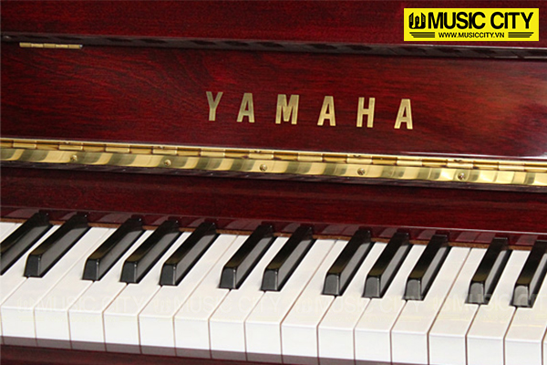Music City – Tổng Kho Piano, Guitar, Organ | Dịch Vụ Giáo Dục Âm Nhạc