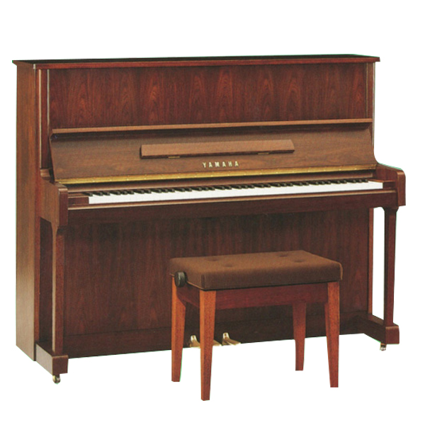 Music City – Tổng Kho Piano, Guitar, Organ | Dịch Vụ Giáo Dục Âm Nhạc