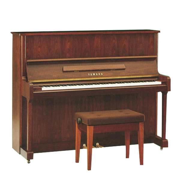 Music City – Tổng Kho Piano, Guitar, Organ | Dịch Vụ Giáo Dục Âm Nhạc