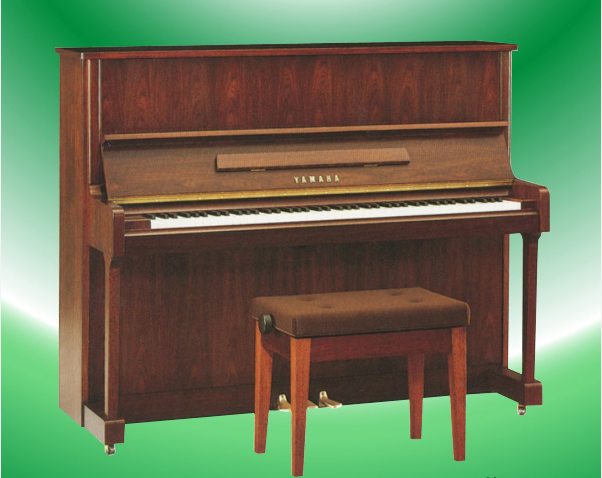 Music City – Tổng Kho Piano, Guitar, Organ | Dịch Vụ Giáo Dục Âm Nhạc