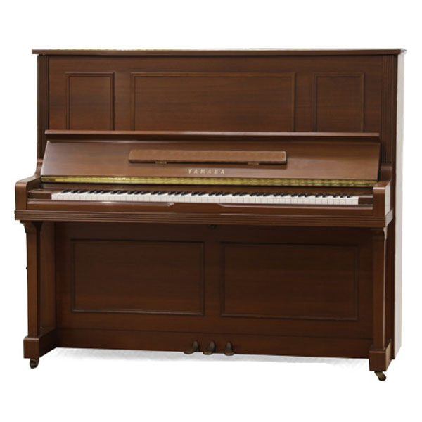Music City – Tổng Kho Piano, Guitar, Organ | Dịch Vụ Giáo Dục Âm Nhạc