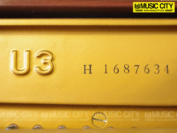 Music City – Tổng Kho Piano, Guitar, Organ | Dịch Vụ Giáo Dục Âm Nhạc