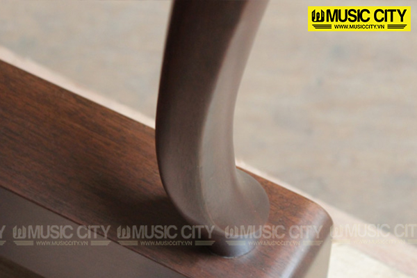 Music City – Tổng Kho Piano, Guitar, Organ | Dịch Vụ Giáo Dục Âm Nhạc