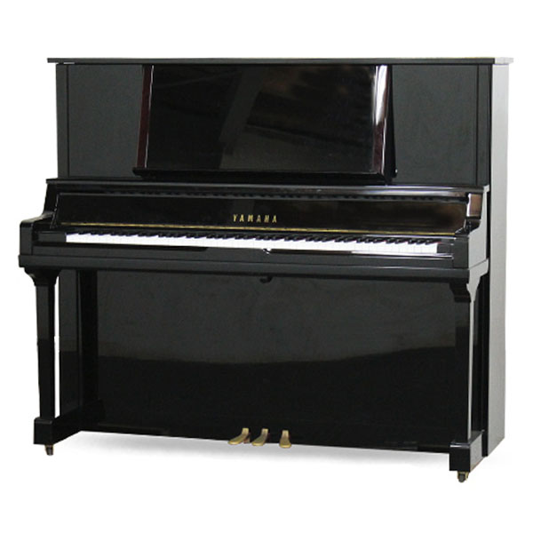 Music City – Tổng Kho Piano, Guitar, Organ | Dịch Vụ Giáo Dục Âm Nhạc