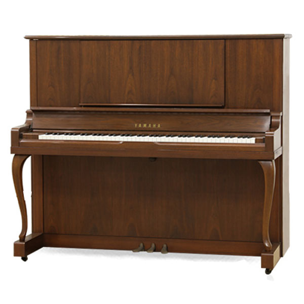 Music City – Tổng Kho Piano, Guitar, Organ | Dịch Vụ Giáo Dục Âm Nhạc