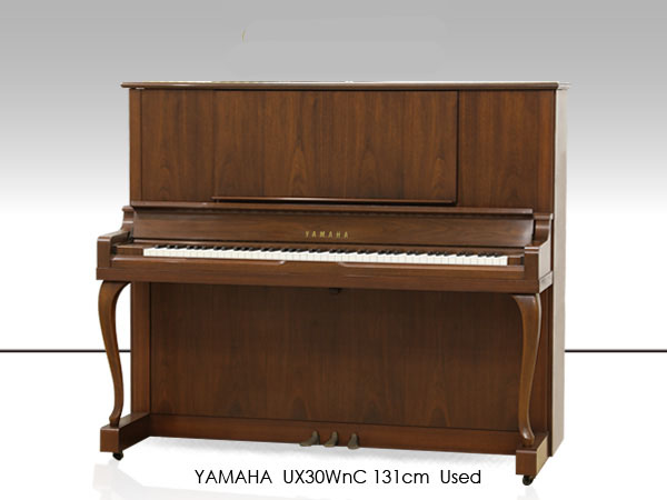Music City – Tổng Kho Piano, Guitar, Organ | Dịch Vụ Giáo Dục Âm Nhạc