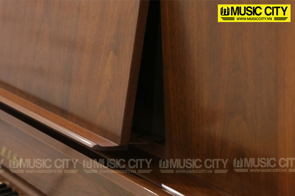 Music City – Tổng Kho Piano, Guitar, Organ | Dịch Vụ Giáo Dục Âm Nhạc