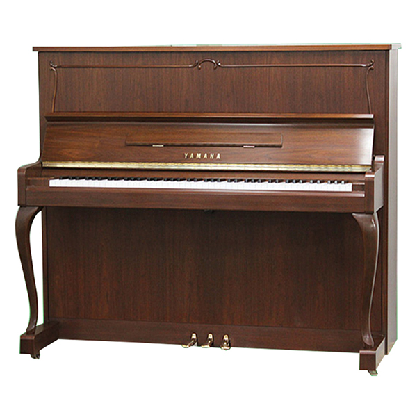 Music City – Tổng Kho Piano, Guitar, Organ | Dịch Vụ Giáo Dục Âm Nhạc