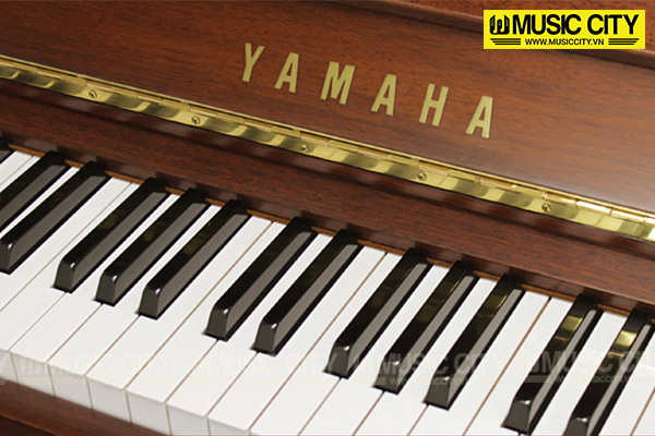 Music City – Tổng Kho Piano, Guitar, Organ | Dịch Vụ Giáo Dục Âm Nhạc