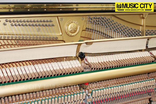 Music City – Tổng Kho Piano, Guitar, Organ | Dịch Vụ Giáo Dục Âm Nhạc