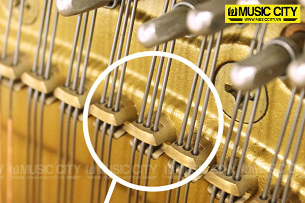 Music City – Tổng Kho Piano, Guitar, Organ | Dịch Vụ Giáo Dục Âm Nhạc
