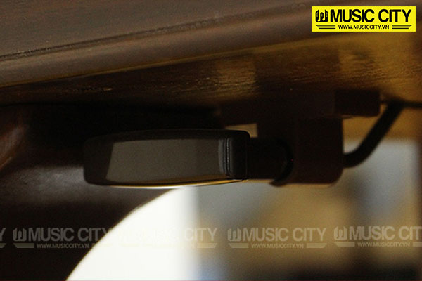 Music City – Tổng Kho Piano, Guitar, Organ | Dịch Vụ Giáo Dục Âm Nhạc