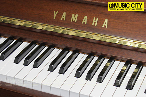 Music City – Tổng Kho Piano, Guitar, Organ | Dịch Vụ Giáo Dục Âm Nhạc