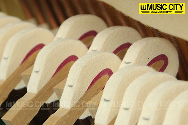 Music City – Tổng Kho Piano, Guitar, Organ | Dịch Vụ Giáo Dục Âm Nhạc