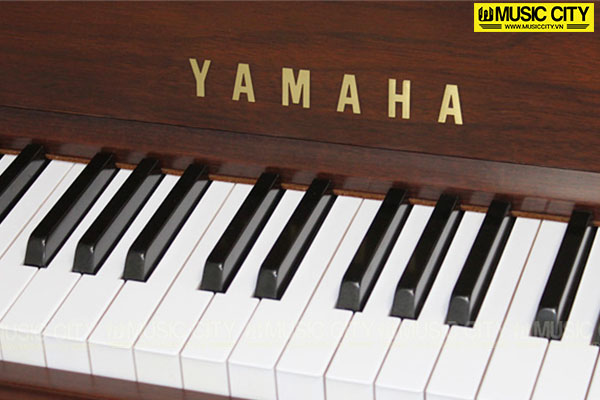 Music City – Tổng Kho Piano, Guitar, Organ | Dịch Vụ Giáo Dục Âm Nhạc