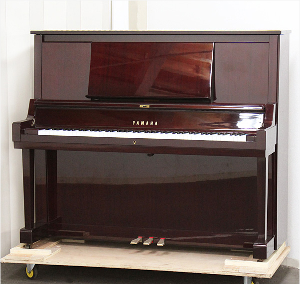 Music City – Tổng Kho Piano, Guitar, Organ | Dịch Vụ Giáo Dục Âm Nhạc