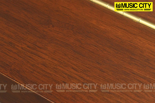 Music City – Tổng Kho Piano, Guitar, Organ | Dịch Vụ Giáo Dục Âm Nhạc