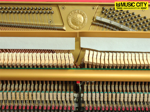 Music City – Tổng Kho Piano, Guitar, Organ | Dịch Vụ Giáo Dục Âm Nhạc