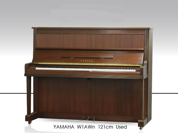 Music City – Tổng Kho Piano, Guitar, Organ | Dịch Vụ Giáo Dục Âm Nhạc