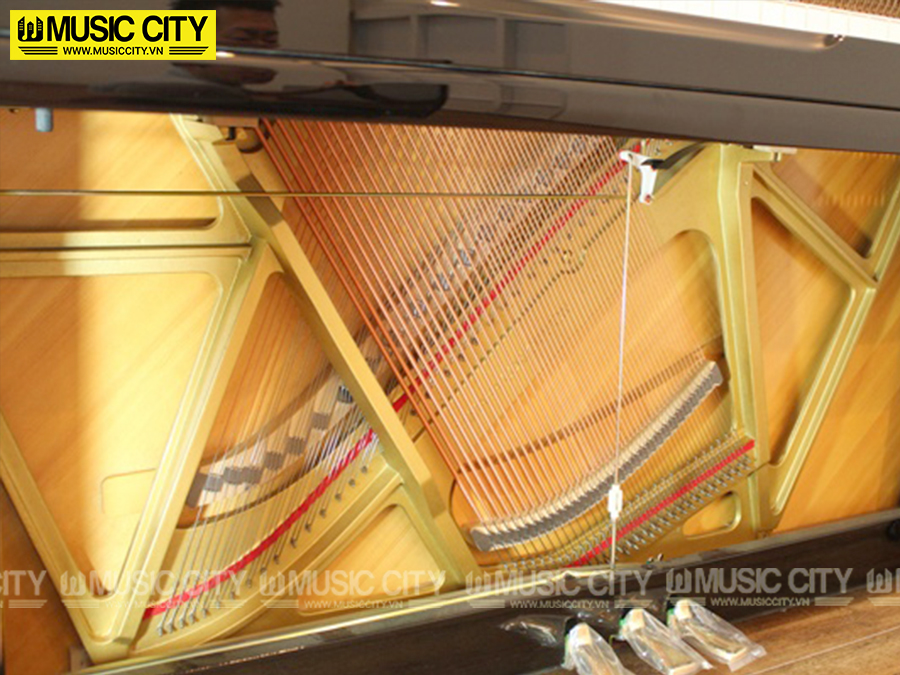 Music City – Tổng Kho Piano, Guitar, Organ | Dịch Vụ Giáo Dục Âm Nhạc