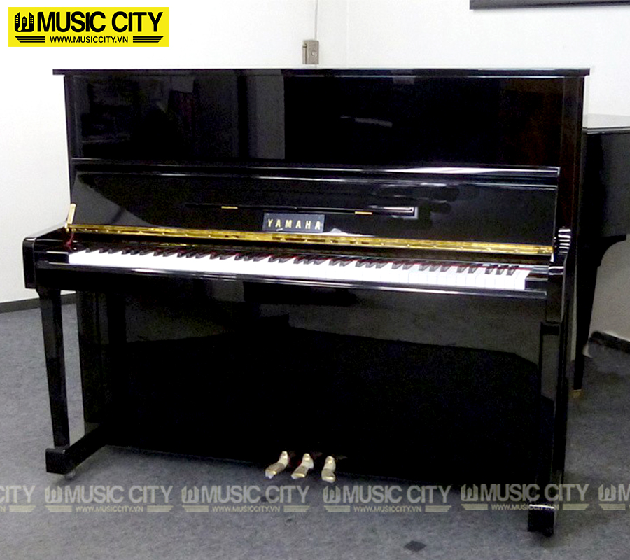 Music City – Tổng Kho Piano, Guitar, Organ | Dịch Vụ Giáo Dục Âm Nhạc