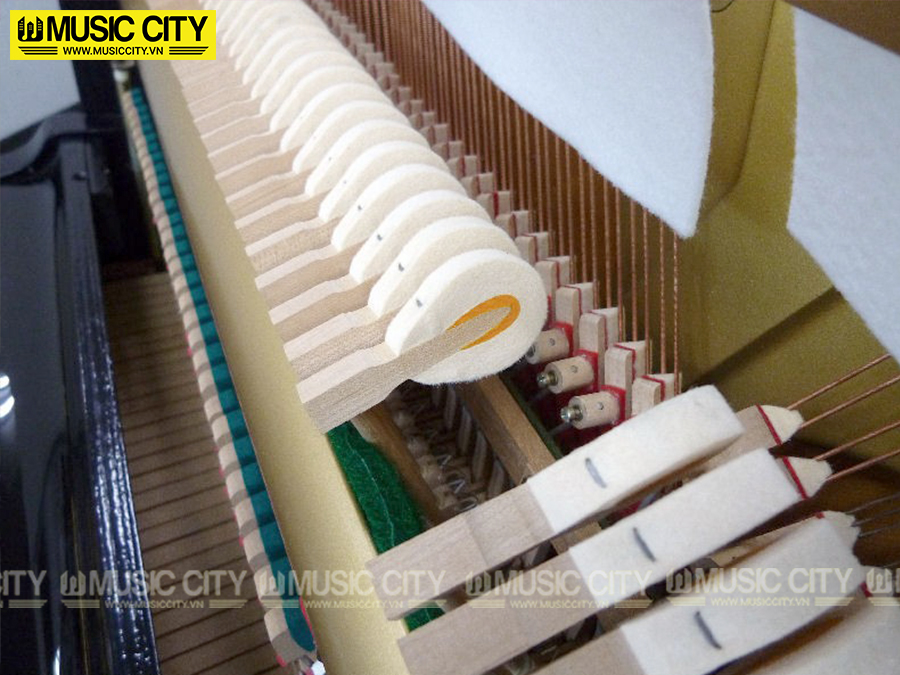 Music City – Tổng Kho Piano, Guitar, Organ | Dịch Vụ Giáo Dục Âm Nhạc