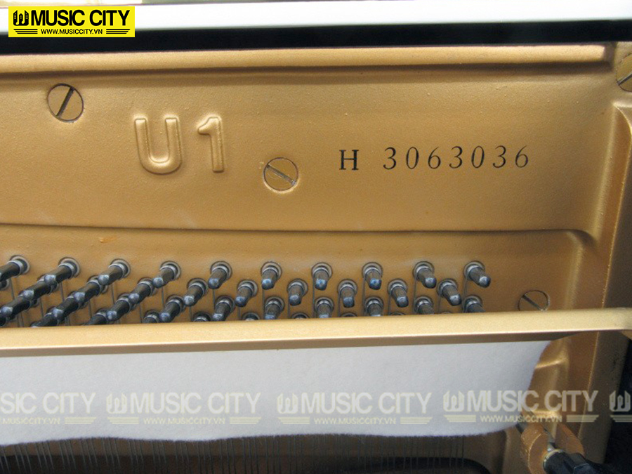 Music City – Tổng Kho Piano, Guitar, Organ | Dịch Vụ Giáo Dục Âm Nhạc