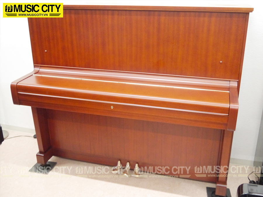 Music City – Tổng Kho Piano, Guitar, Organ | Dịch Vụ Giáo Dục Âm Nhạc
