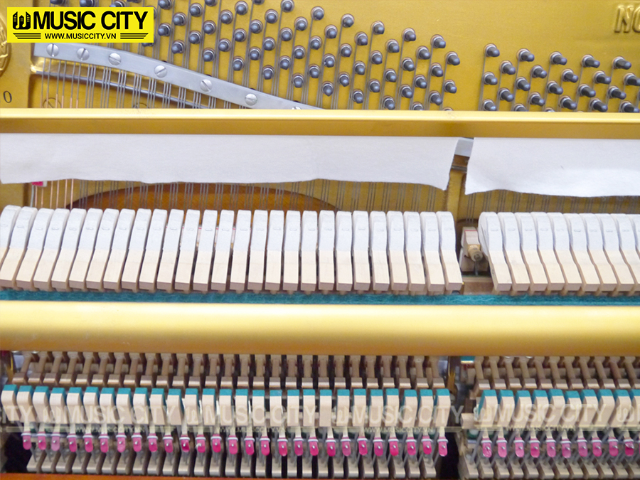 Music City – Tổng Kho Piano, Guitar, Organ | Dịch Vụ Giáo Dục Âm Nhạc
