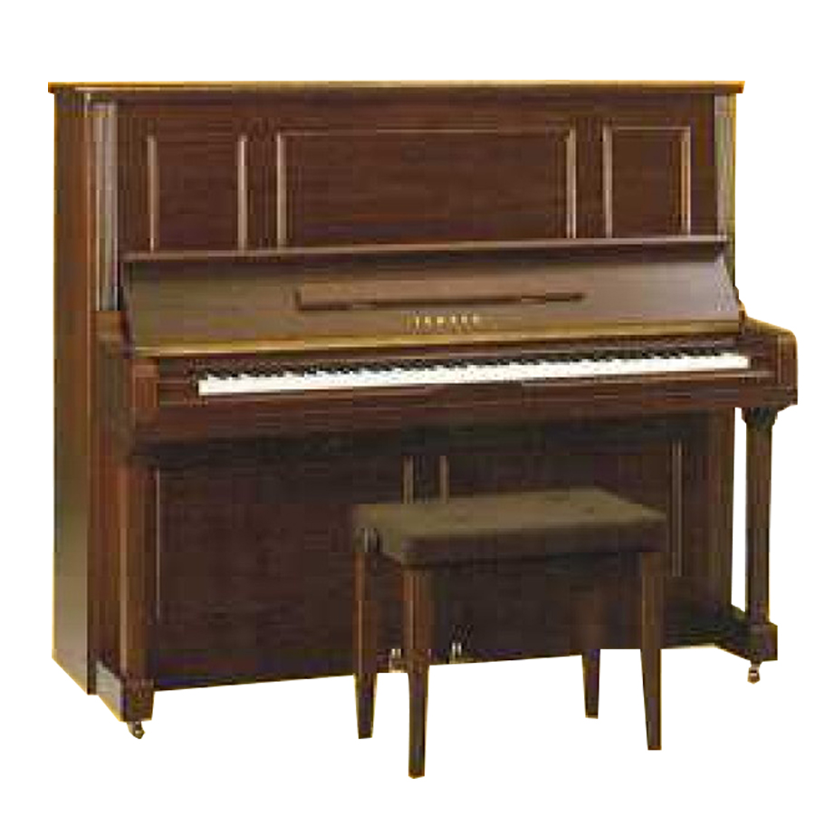 Music City – Tổng Kho Piano, Guitar, Organ | Dịch Vụ Giáo Dục Âm Nhạc