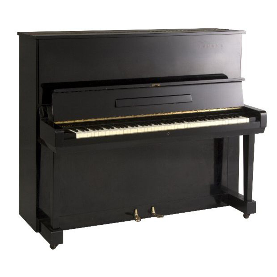 Music City – Tổng Kho Piano, Guitar, Organ | Dịch Vụ Giáo Dục Âm Nhạc