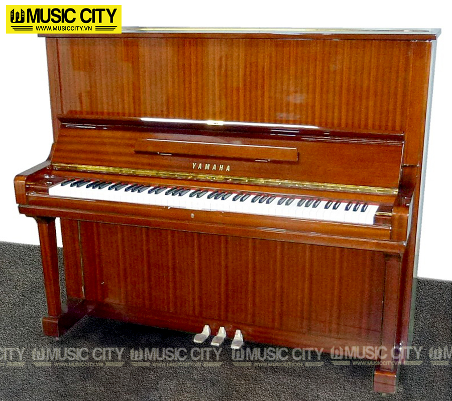 Music City – Tổng Kho Piano, Guitar, Organ | Dịch Vụ Giáo Dục Âm Nhạc