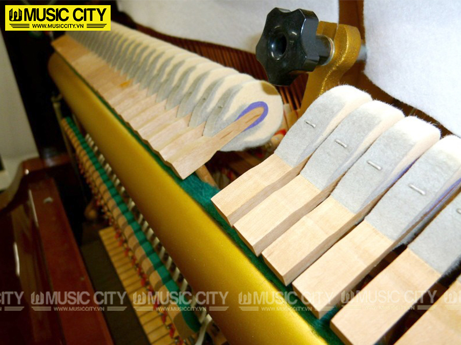 Music City – Tổng Kho Piano, Guitar, Organ | Dịch Vụ Giáo Dục Âm Nhạc
