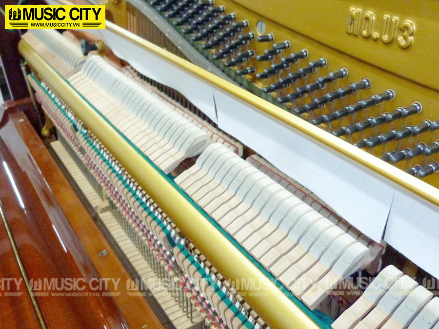 Music City – Tổng Kho Piano, Guitar, Organ | Dịch Vụ Giáo Dục Âm Nhạc