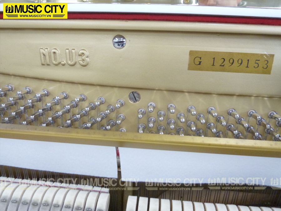Music City – Tổng Kho Piano, Guitar, Organ | Dịch Vụ Giáo Dục Âm Nhạc