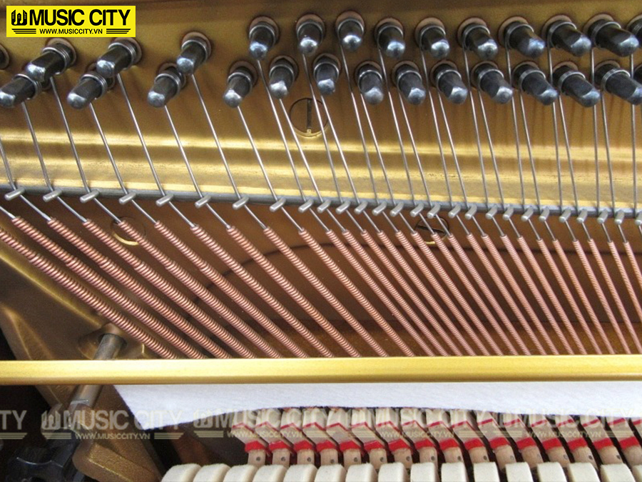 Music City – Tổng Kho Piano, Guitar, Organ | Dịch Vụ Giáo Dục Âm Nhạc