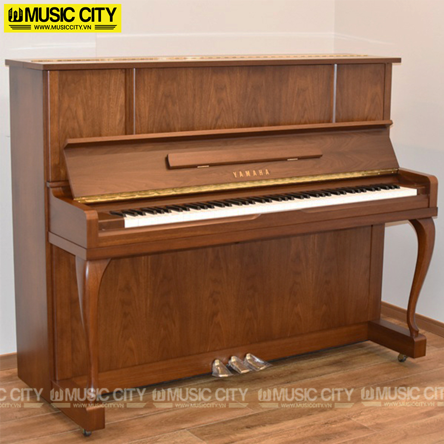 Music City – Tổng Kho Piano, Guitar, Organ | Dịch Vụ Giáo Dục Âm Nhạc