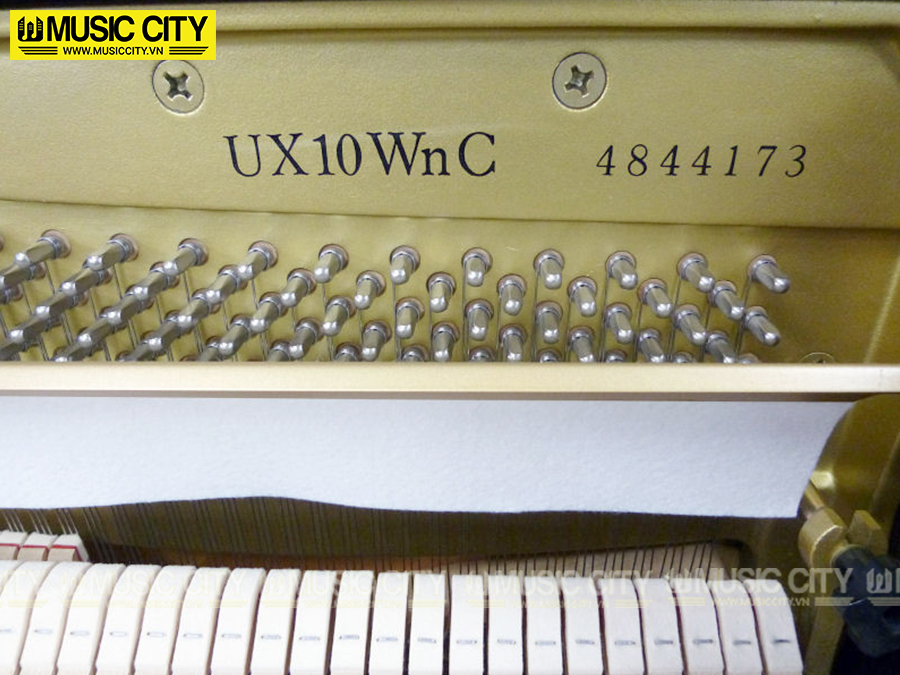 Music City – Tổng Kho Piano, Guitar, Organ | Dịch Vụ Giáo Dục Âm Nhạc