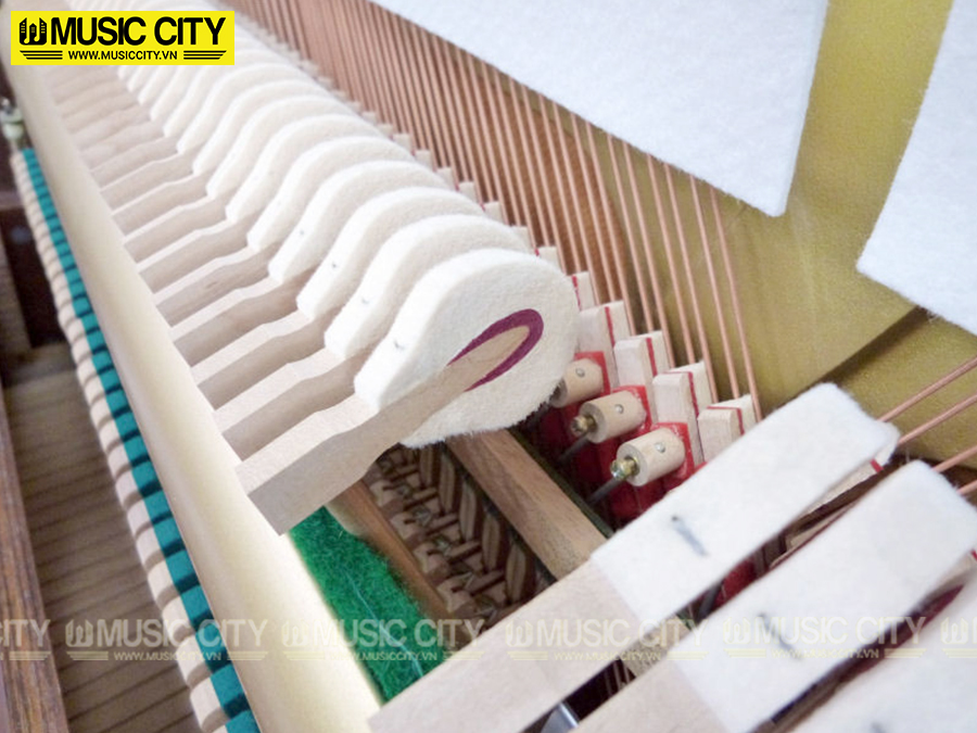 Music City – Tổng Kho Piano, Guitar, Organ | Dịch Vụ Giáo Dục Âm Nhạc