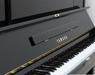 Music City – Tổng Kho Piano, Guitar, Organ | Dịch Vụ Giáo Dục Âm Nhạc