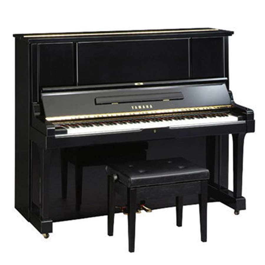 Music City – Tổng Kho Piano, Guitar, Organ | Dịch Vụ Giáo Dục Âm Nhạc