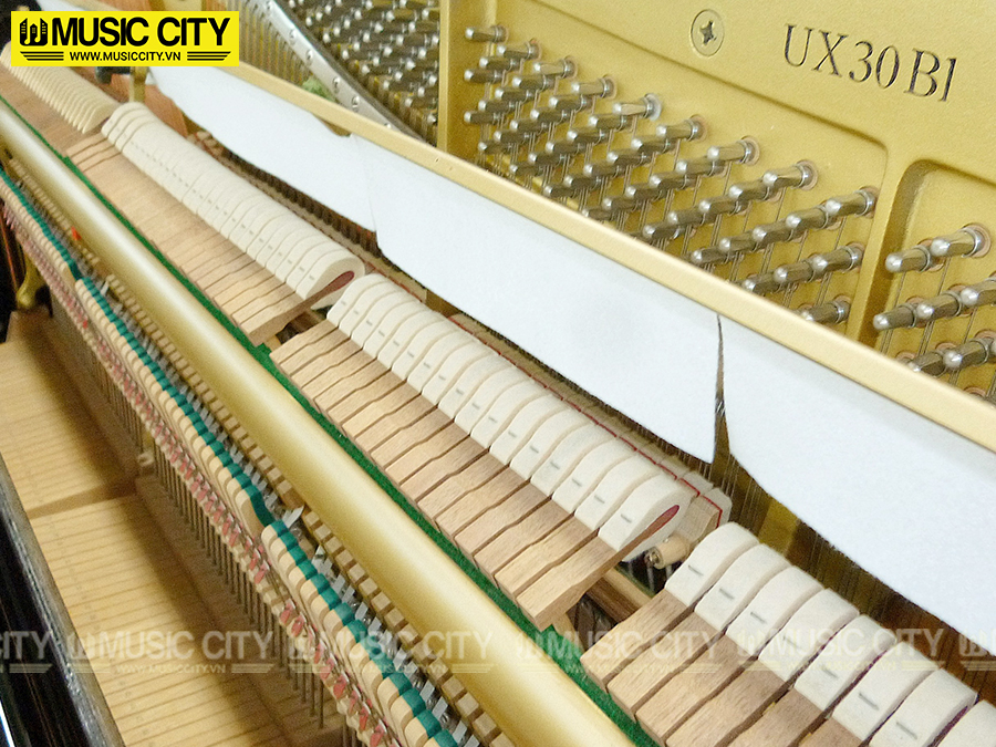 Music City – Tổng Kho Piano, Guitar, Organ | Dịch Vụ Giáo Dục Âm Nhạc