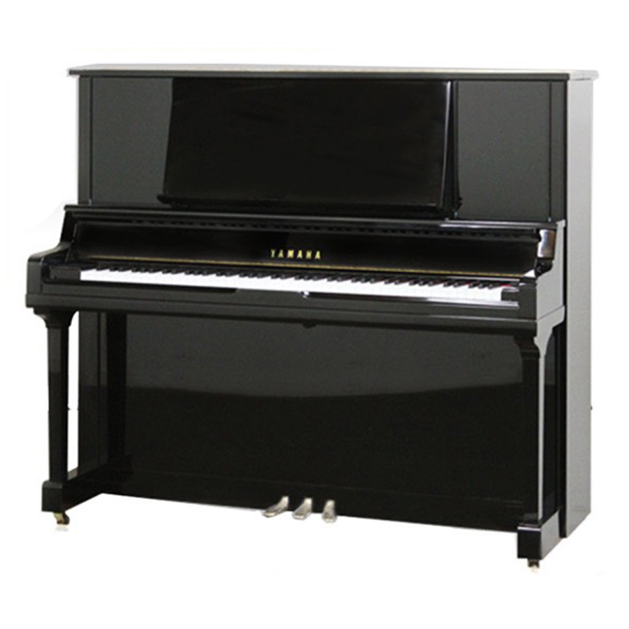 Music City – Tổng Kho Piano, Guitar, Organ | Dịch Vụ Giáo Dục Âm Nhạc