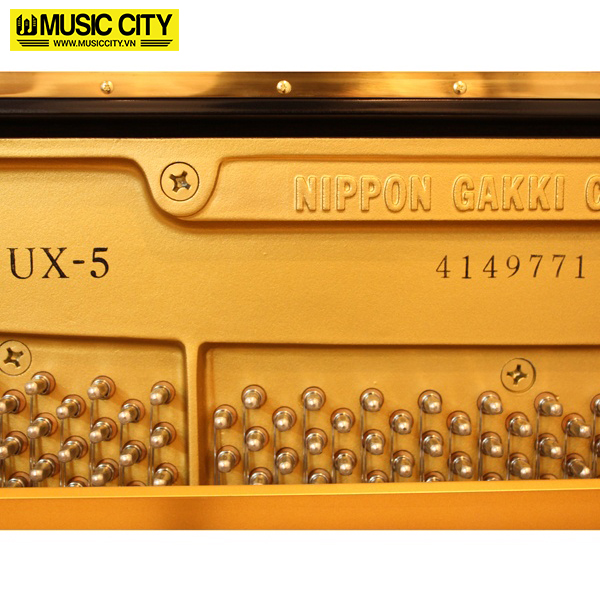 Music City – Tổng Kho Piano, Guitar, Organ | Dịch Vụ Giáo Dục Âm Nhạc